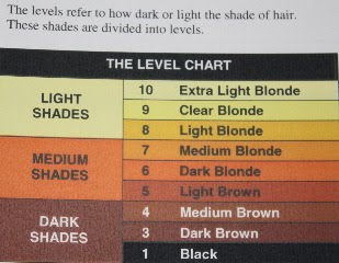Level Hair Chart